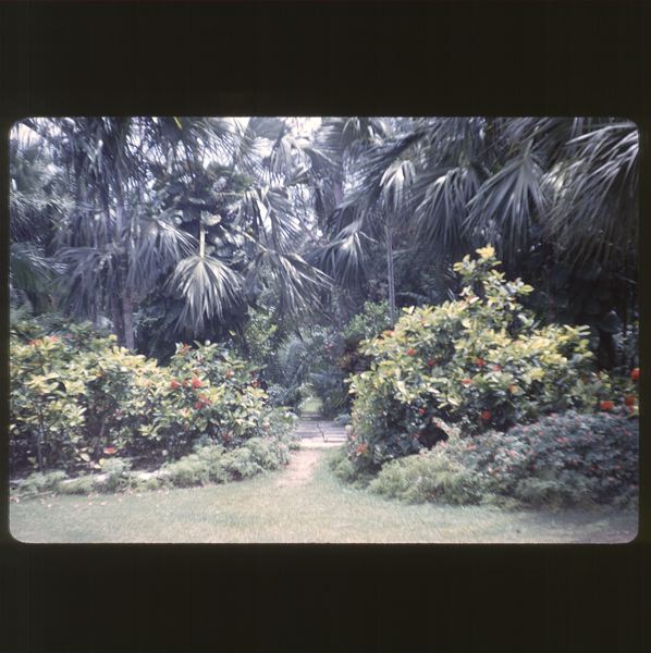 scan-120601-0056.jpg