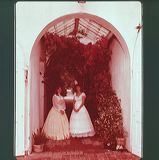 scan0008