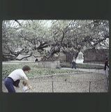 scan0052