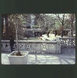 scan0062