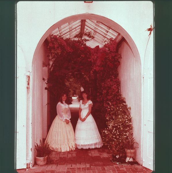 scan0008.jpg