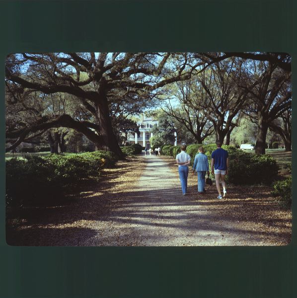 scan0026.jpg