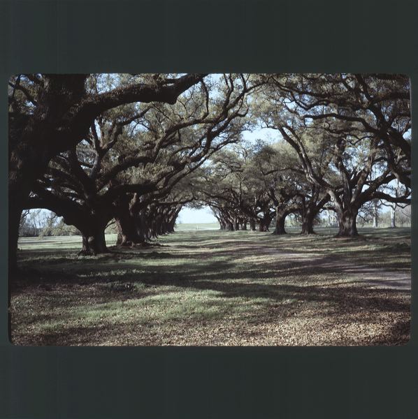 scan0027.jpg