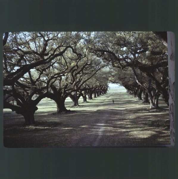 scan0028.jpg