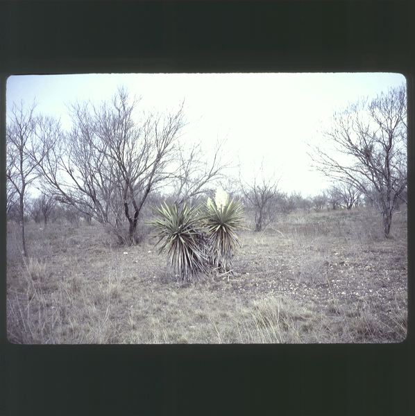 scan0034.jpg