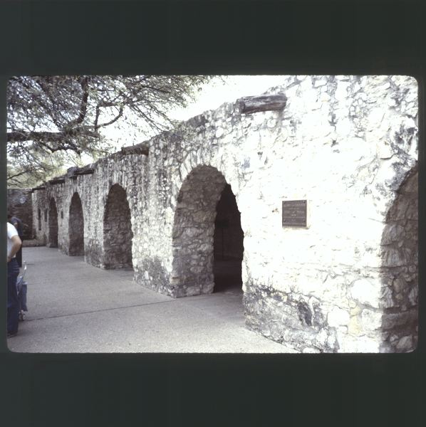 scan0050.jpg