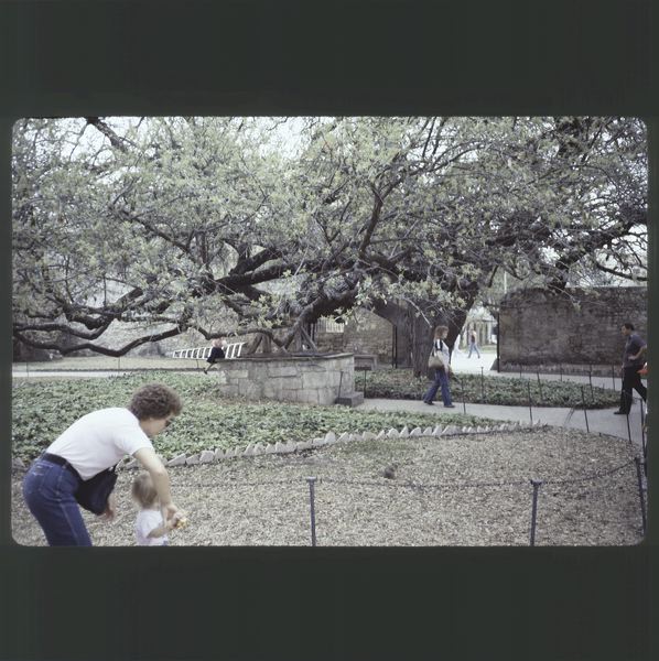 scan0052.jpg