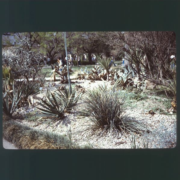 scan0054.jpg