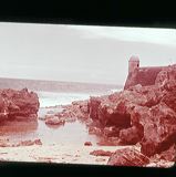 scan0008