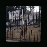 scan0050