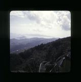 scan0061