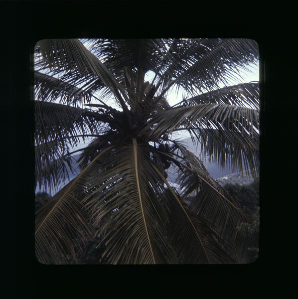 scan0060.jpg