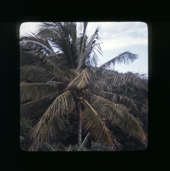 scan0064.jpg