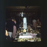 scan0045
