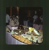 scan0046
