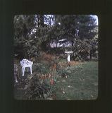 scan0068