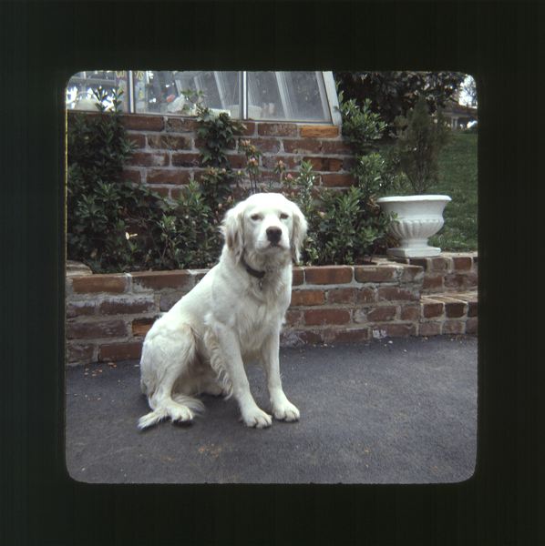 scan0069.jpg