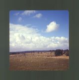 scan0044