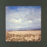scan0045