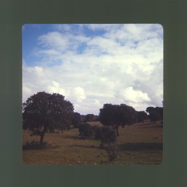 scan0043.jpg