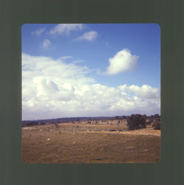 scan0044.jpg
