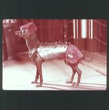 scan0060
