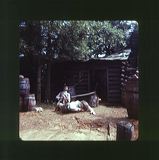 scan0011