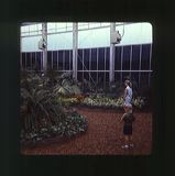 scan0029