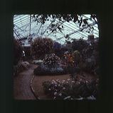 scan0033