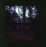 scan0037