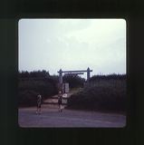 scan0047