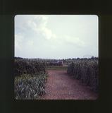 scan0051