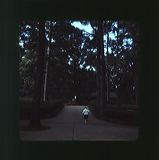 scan0060