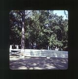 scan0066