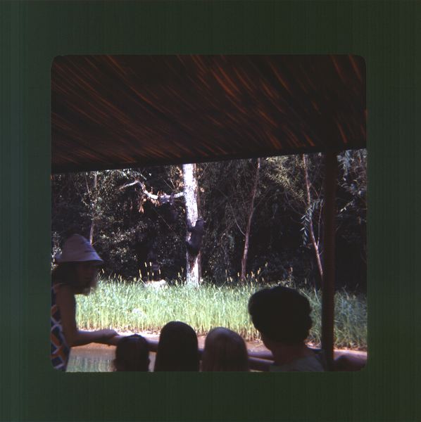 scan0004.jpg