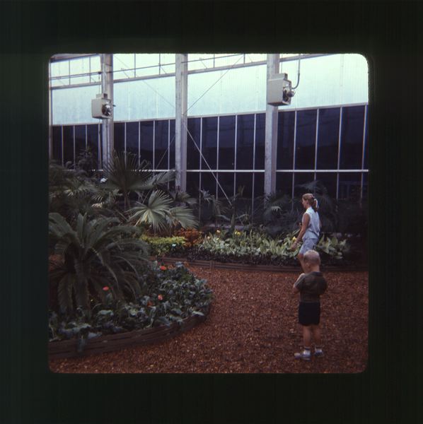 scan0029.jpg