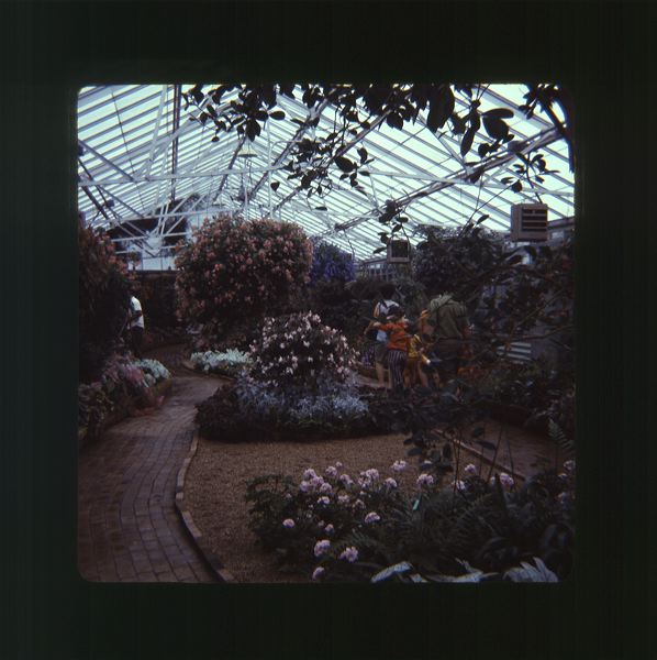 scan0033.jpg