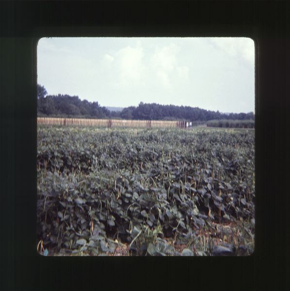 scan0049.jpg