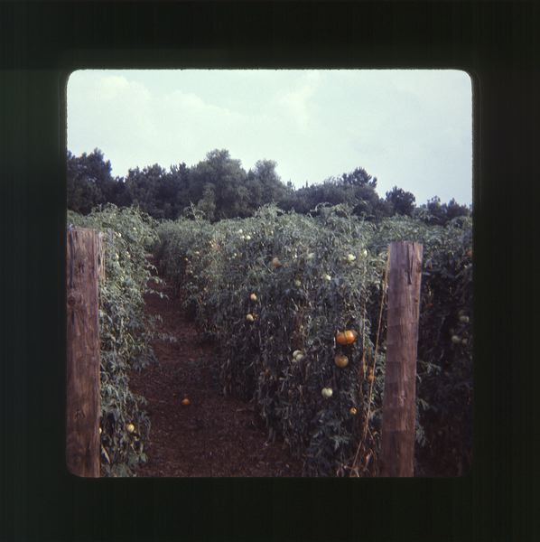scan0052.jpg