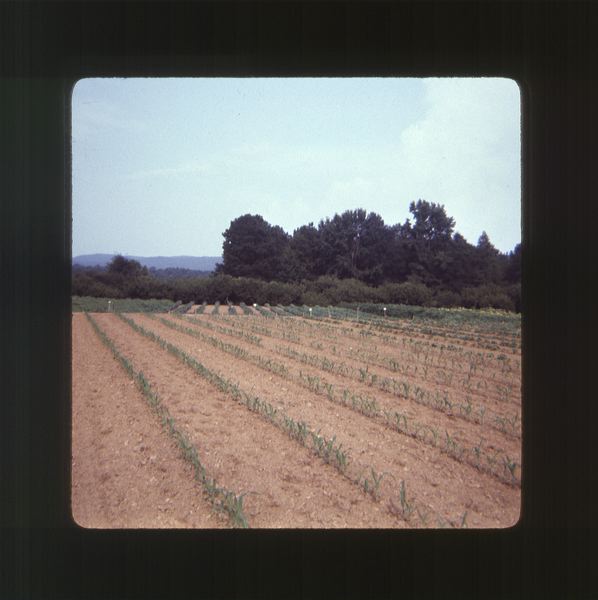 scan0055.jpg