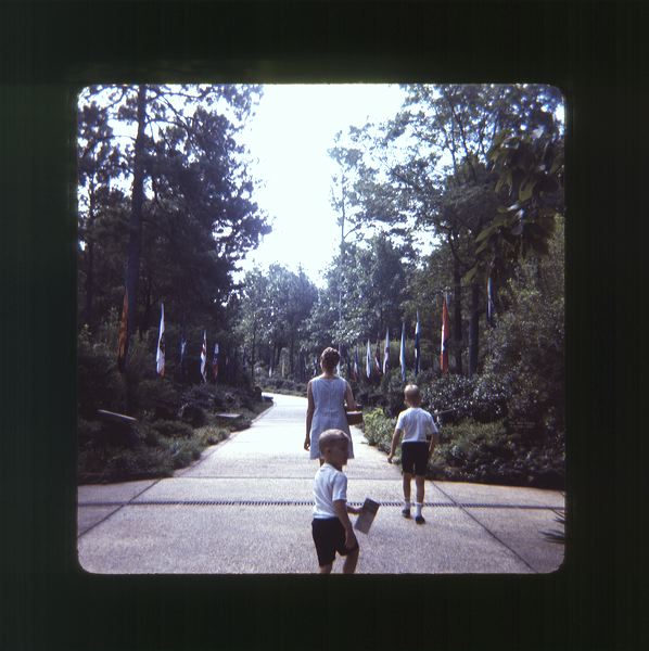 scan0061.jpg