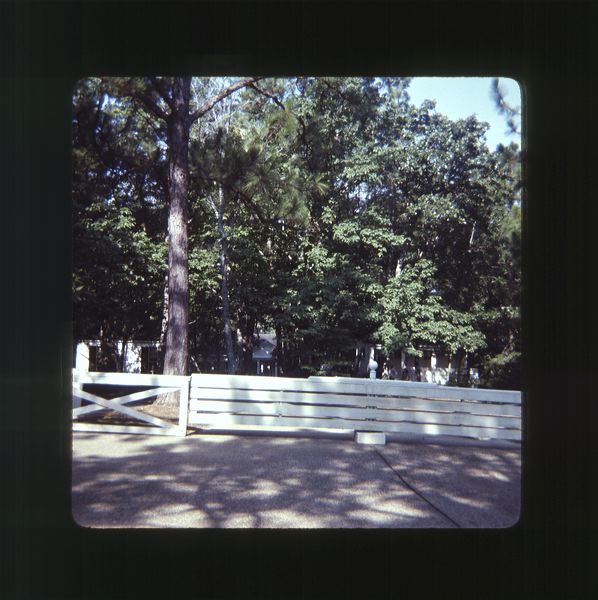 scan0066.jpg