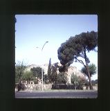 scan0008