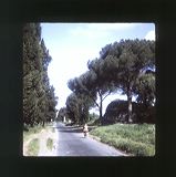 scan0012