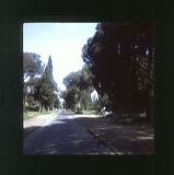 scan0013