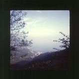 scan0022
