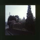 scan0023