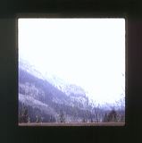 scan0031