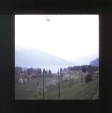 scan0036