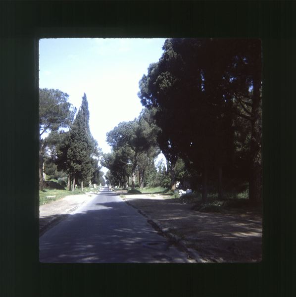 scan0013.jpg
